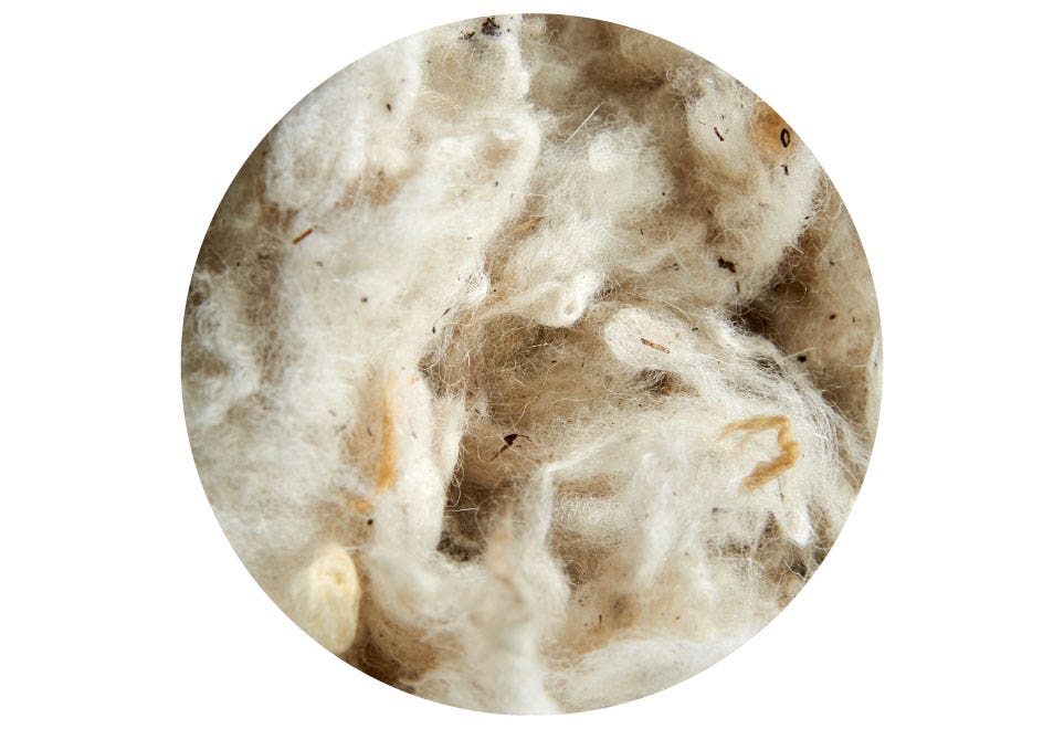 natural thermofiber con tecnología wool blend fibras de lana natural colchón atelier cannon home